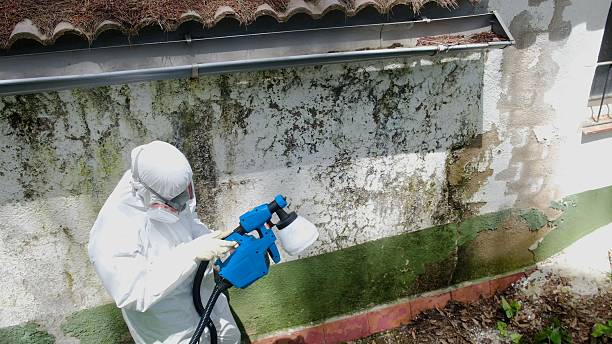 Mold Remediation service in Burke, Burke, VA